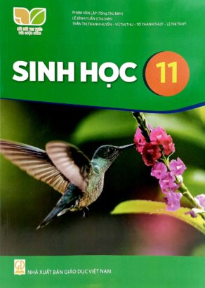 20 câu Sinh Học Lớp 11 – Chương 5. Mối quan hệ giữa các quá trình sinh lí trong cơ thể sinh vật và một số ngành nghề liên quan đến sinh học cơ th…